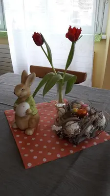 Nourriture dans le B&B/chambre d'hôtes ou à proximité