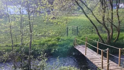 Jardin de l'établissement Gîte du Plainet
