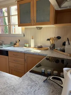 Cuisine ou kitchenette dans l'établissement Schriner Hüss - Locations de vacances avec piscine et parking privé