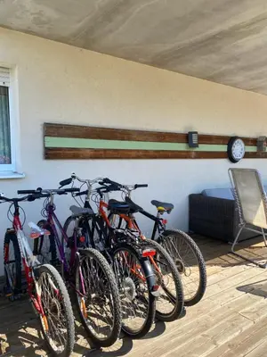 Vélo sur le terrain de l'établissement Gites d'Illfurth ou dans les environs