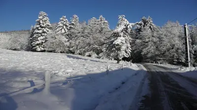 L'établissement Gîte De La Belle Vallée en hiver