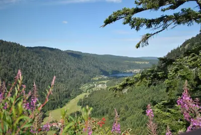 Paysage naturel près de la maison de vacances