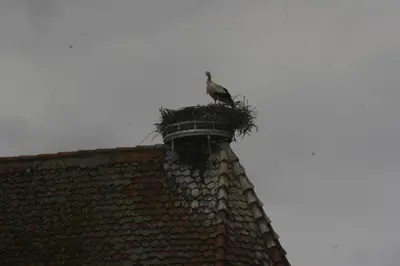 Plan de l'établissement Gite duplex du vignoble Alsace
