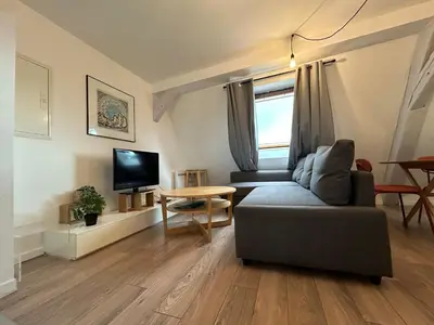 Télévision ou salle de divertissement dans l'établissement Colmar City Center - Appartement BELLE-VUE 4 étoiles