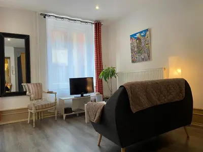 Télévision ou salle de divertissement dans l'établissement L'Ours de Colmar - Appartements en centre ville