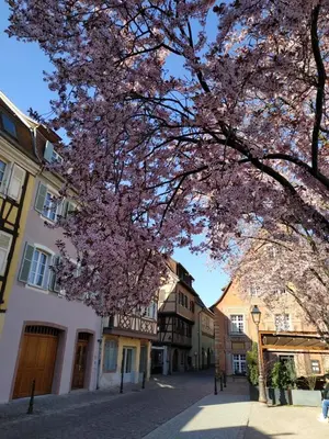 Quartier de la maison de vacances ou autre quartier proche
