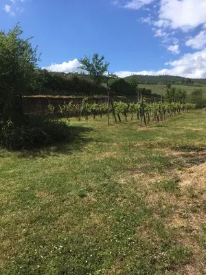 Paysage naturel près de la maison de vacances
