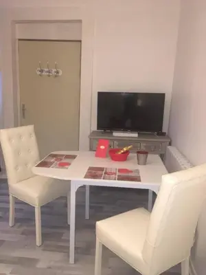 Télévision ou salle de divertissement dans l'établissement Apartments Center Colmar 5