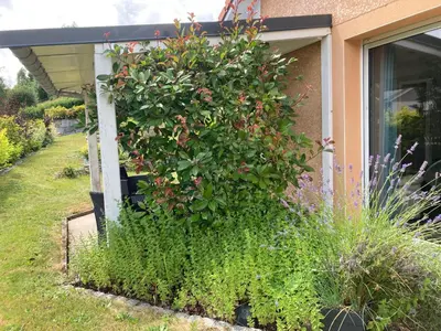 Jardin de l'établissement Gite Les Cimes