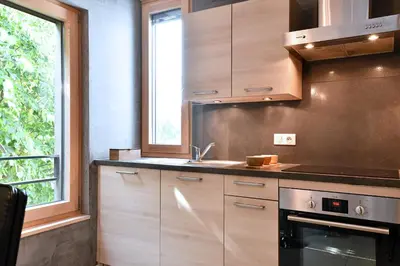 Cuisine ou kitchenette dans l'établissement Gîte Contemporain L'hirondelle