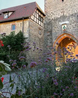 Jardin de l'établissement Le Cocon du Potier
