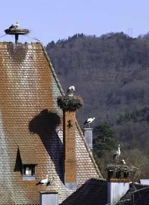 Vue générale sur la montagne ou vue sur la montagne depuis l'hôtel