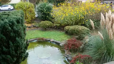 Jardin de l'établissement Gîte 