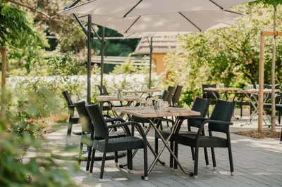 Jardin de l'établissement L'AO Hôtel & Restaurant L'Aigle d'Or