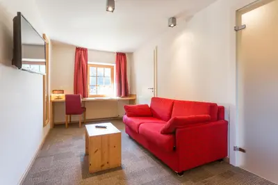Télévision ou salle de divertissement dans l'établissement L'AO Hôtel & Restaurant L'Aigle d'Or