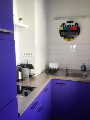 Cuisine ou kitchenette dans l'établissement Little Bartholdi - Appartement Colmar Hyper Centre
