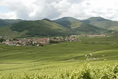 Paysage naturel près de l'hôtel