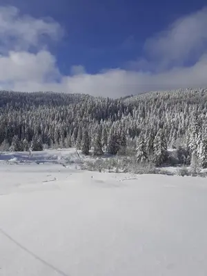 L'établissement Domaine Des Hauts Viaux en hiver