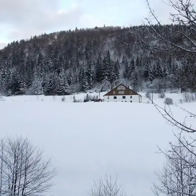 Domaine Des Hauts Viaux