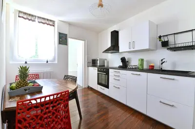 Cuisine ou kitchenette dans l'établissement Appartement Les Cigognes du Centre