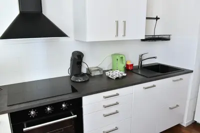 Cuisine ou kitchenette dans l'établissement Appartement Les Cigognes du Centre