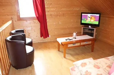 Télévision ou salle de divertissement dans l'établissement Chalet Des Rochires