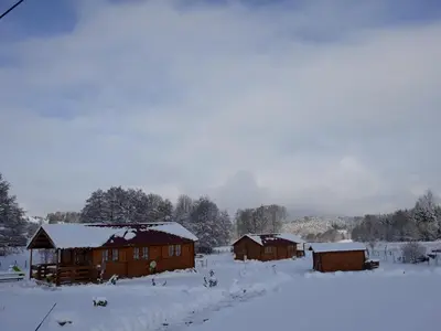 L'établissement chalets les 5 loups en hiver