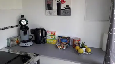 Cuisine ou kitchenette dans l'établissement Happy Plaine