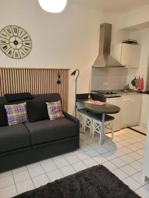Cuisine ou kitchenette dans l'établissement Studio Tripiers