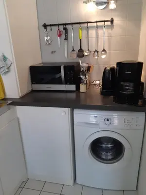 Cuisine ou kitchenette dans l'établissement Studio Tripiers