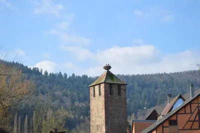 Paysage naturel près de l'appartement