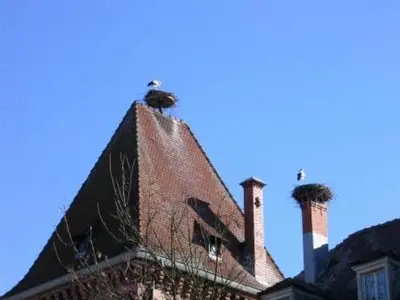 Plan de l'établissement Auberge Obersolberg