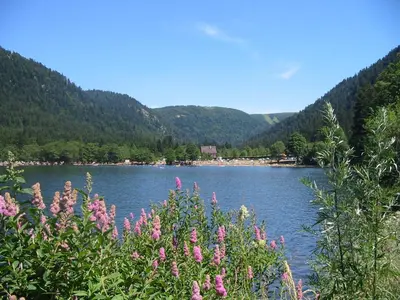 Paysage naturel près de l'appartement