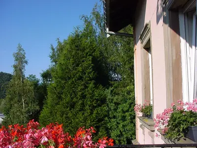 Jardin de l'établissement chambres d'hotes 