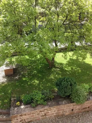 Jardin de l'établissement chambres d'hotes 