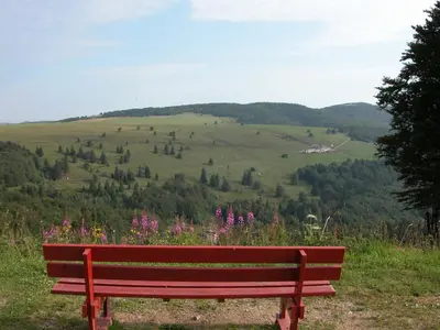 Paysage naturel près de l'hôtel