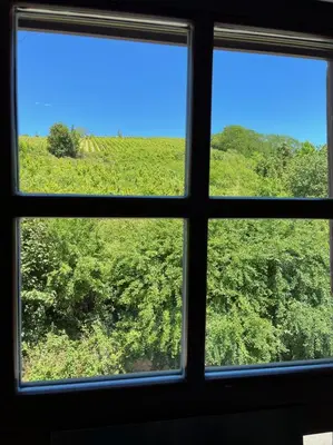 Paysage naturel près de l'appartement