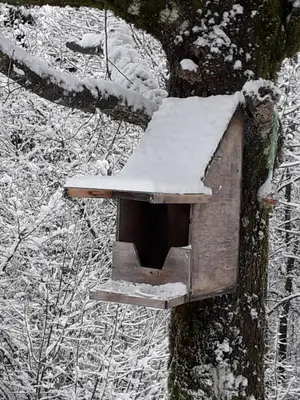 L'établissement Studio les bleuets en hiver