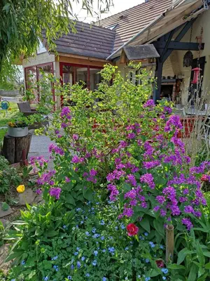 Jardin de l'établissement Le grivé