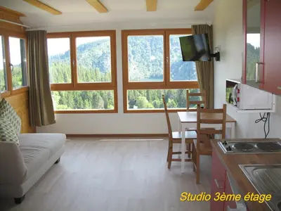 Télévision ou salle de divertissement dans l'établissement Les Terrasses du Lac Blanc - Studios & Appartements