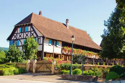 Jardin de l'établissement Auberge et Hostellerie Paysanne