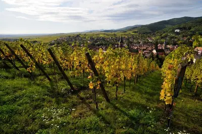 Paysage naturel près de l'appartement