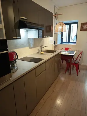 Cuisine ou kitchenette dans l'établissement Gîte Le Patio