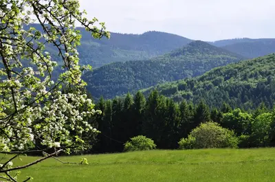 Paysage naturel près de la maison de vacances
