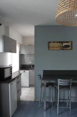 Cuisine ou kitchenette dans l'établissement Cosy F2 Basel Saint-Louis