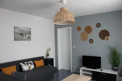 Télévision ou salle de divertissement dans l'établissement Cosy F2 Basel Saint-Louis