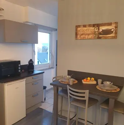 Cuisine ou kitchenette dans l'établissement Cosy F2 Basel Saint-Louis