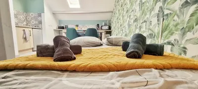 Un ou plusieurs lits dans un hébergement de l'établissement 2 Charmants logements * CHARMANT GITE COLMAR *