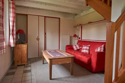 Télévision ou salle de divertissement dans l'établissement Les Loges de l'Ecomusée D'Alsace