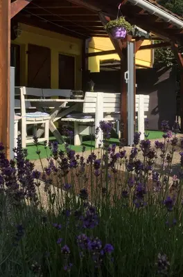 Jardin de l'établissement GÎTE AVEC PISCINE CHEZ Véro